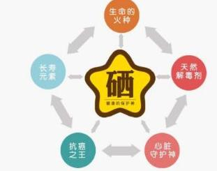 安徽省硒元素科学研究会将主办“中国保健营养即硒元素产品博览会”
