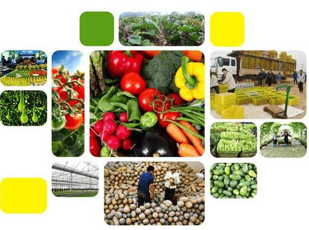 富硒农产品与人体健康