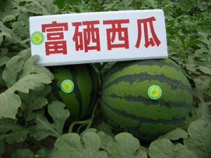 u=2212862737,3077995000&fm=26&gp=0.jpg
